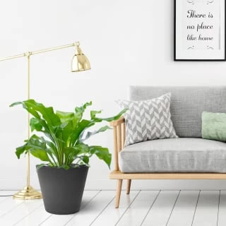 B&M Octavia Planter 38cm - Slate - Image 2