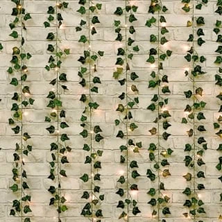 Solar Powered Artificial Ivy Leaf Curtain 180 X 180cm - Image 3