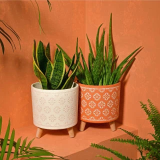 B&M Planter On Tripod Stand - Cream - Image 3