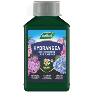 Westland Specialist Hydrangea Plant Food 1L - Image 2